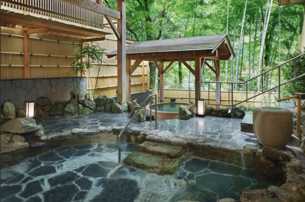 Hakone Hatsuhana Onsen