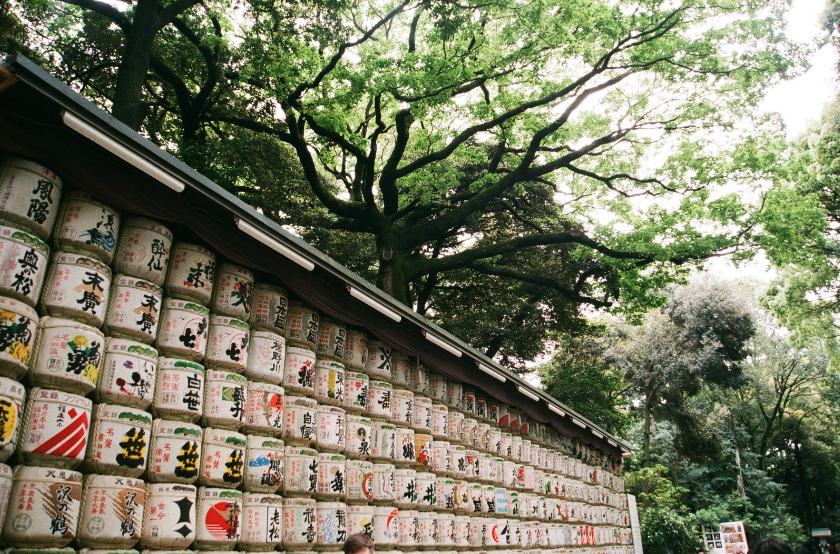 MeijiJingu_Sake