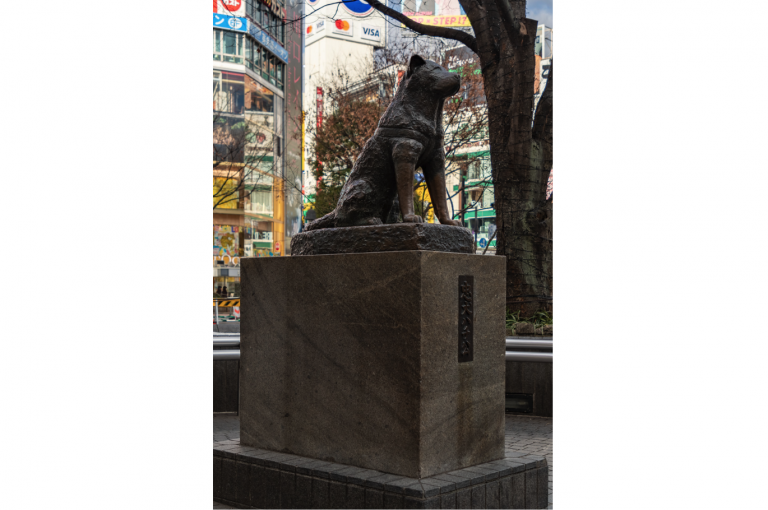 Hachiko