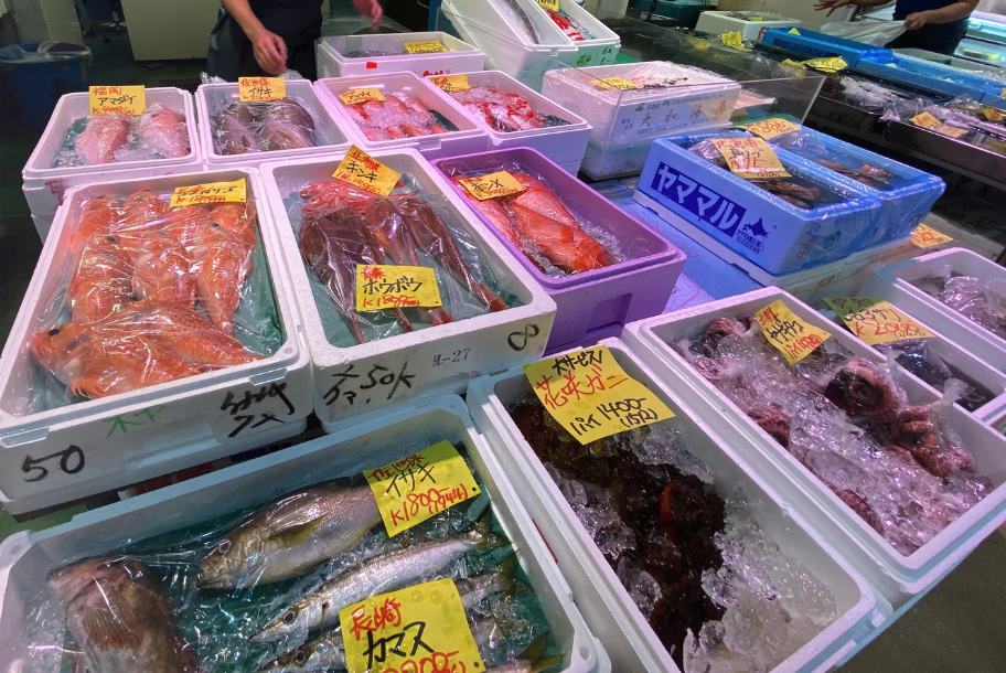 Tsukiji Outer Market -Fish2