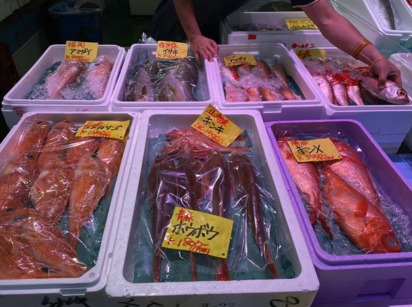 Tsukiji Outer Market -Fish